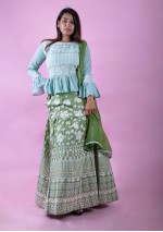  Ferozi Lakhnavi Crop Top & Gown
